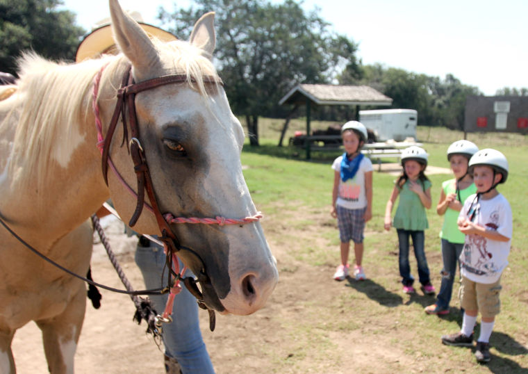 Wrangler Camp
